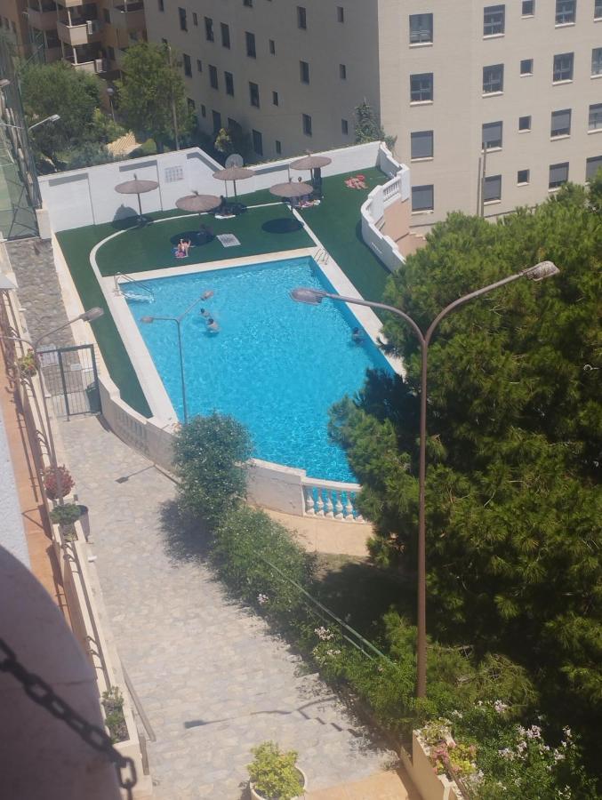 A 50 Metros Del Mar Y En 2 Paradas De Bus Estas En El Centro De Alicante Exterior foto